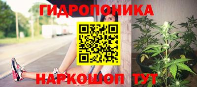 индика Первоуральск