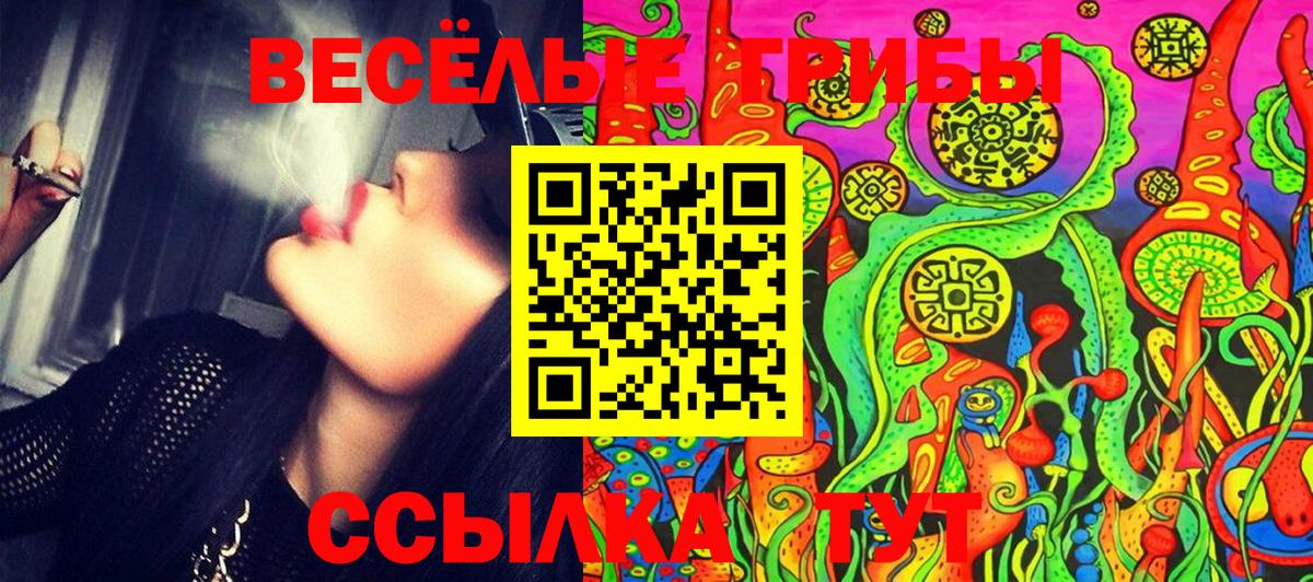 Галлюциногенные грибы мухоморы  Вход с VPN  Галлюциногенные грибы GOLDEN TEACHER  Азнакаево 